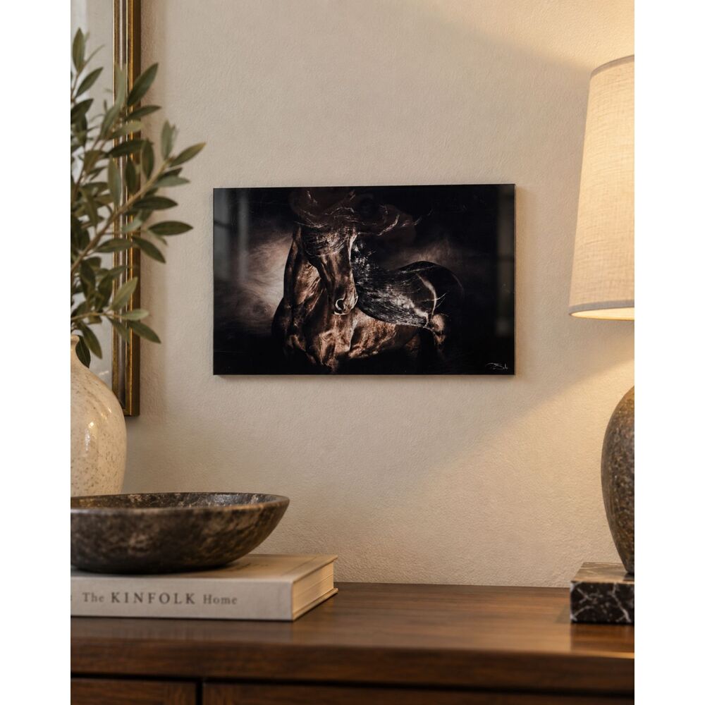 Pepe Soho Horse Acrylic Wall Art Dramatic Equestrian Photo Print Home Decor
